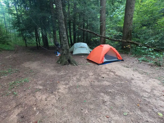 Backcountry Campsite #75 Picture 1