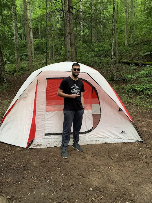 Backcountry Campsite #75 Picture 2