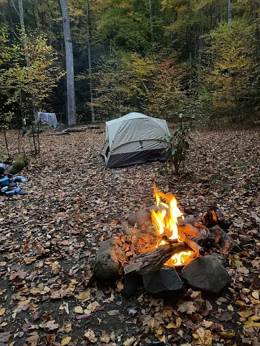 Backcountry Campsite #70 Picture 1