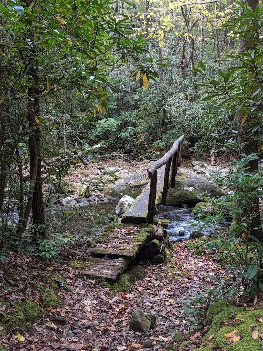 Backcountry Campsite #70 Picture 3