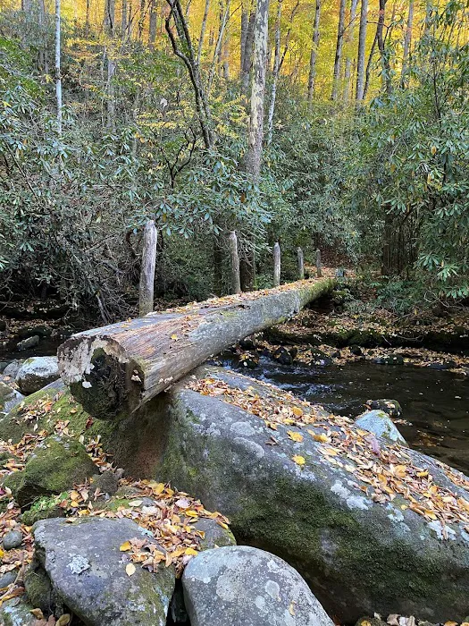 Backcountry Campsite #70 Picture 4