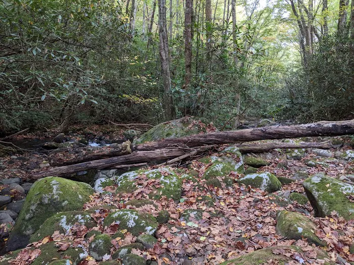 Backcountry Campsite #70 Picture 5