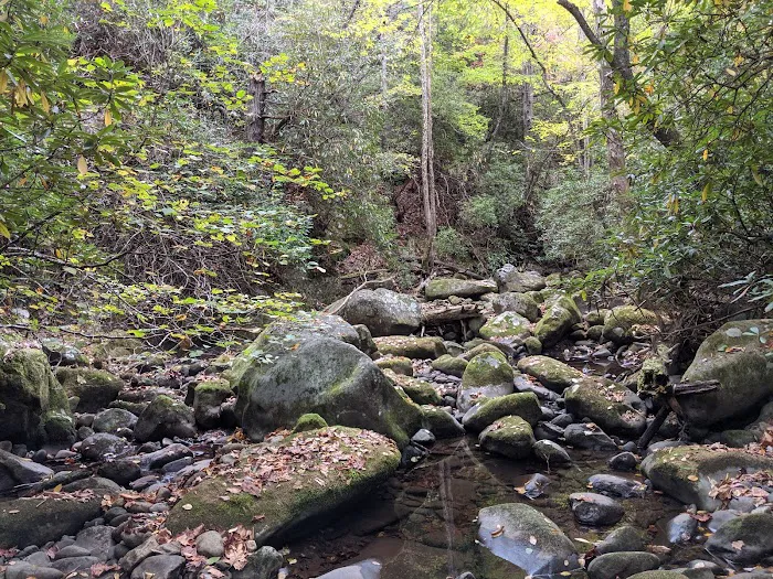 Backcountry Campsite #70 Picture 6