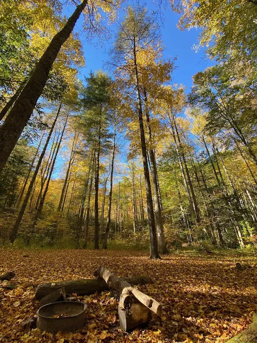 Backcountry Campsite #70 Picture 7