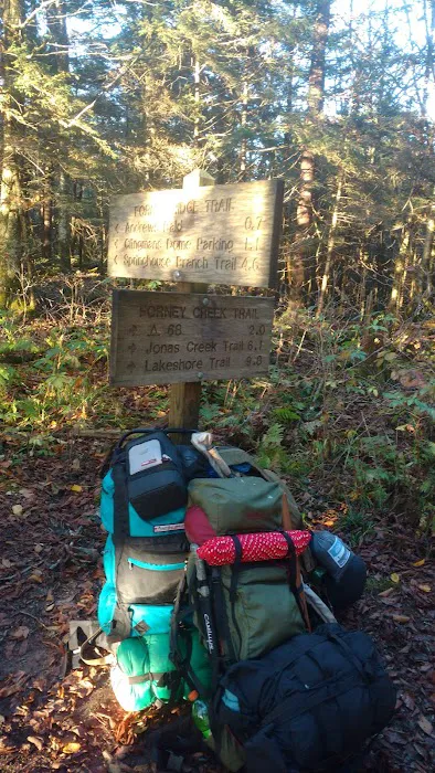 Backcountry Campsite #70 Picture 9