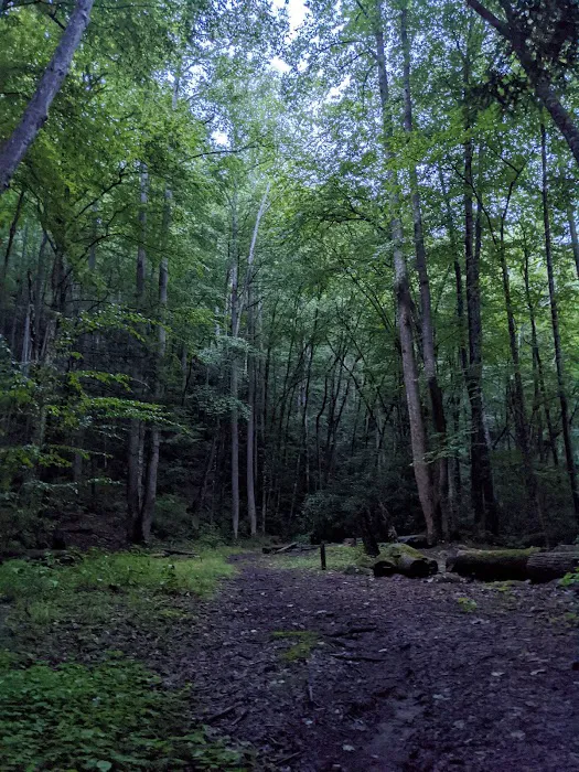 Backcountry Campsite #69 Picture 2