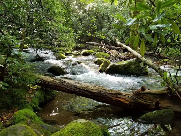 Backcountry Campsite #69 Picture 1