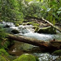 Backcountry Campsite #69 ico