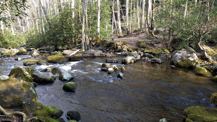 Backcountry Campsite #69 Picture 4