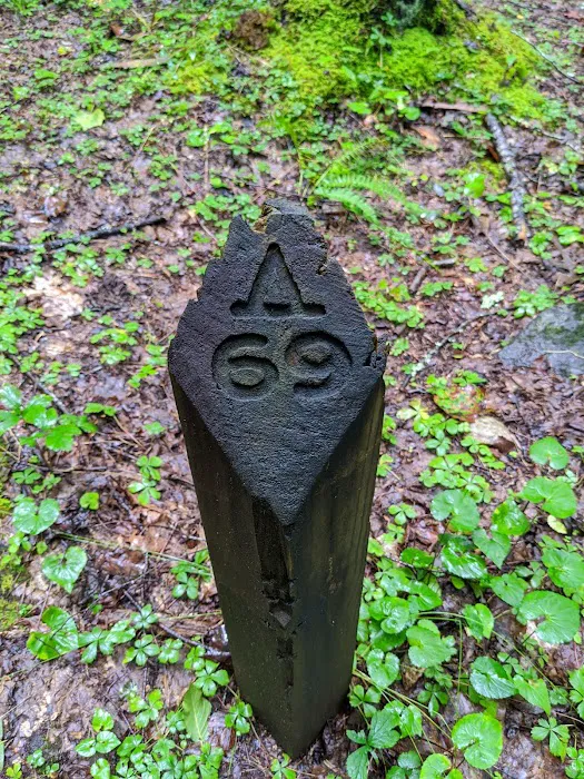 Backcountry Campsite #69 Picture 5