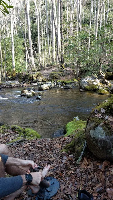 Backcountry Campsite #69 Picture 6