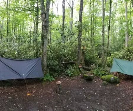 Backcountry Campsite #30