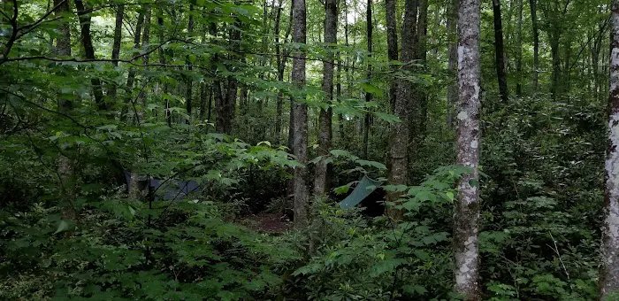 Backcountry Campsite #30 Picture 7