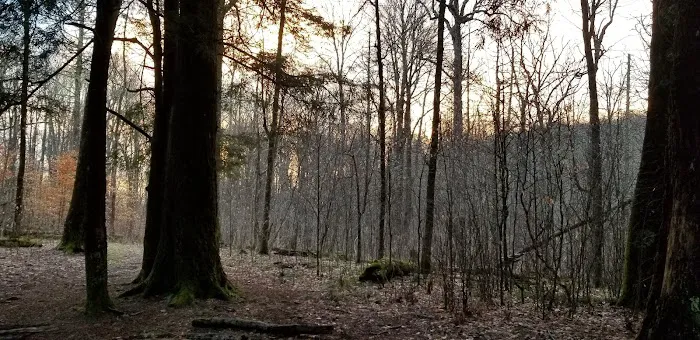 Backcountry Camp 26 Picture 4