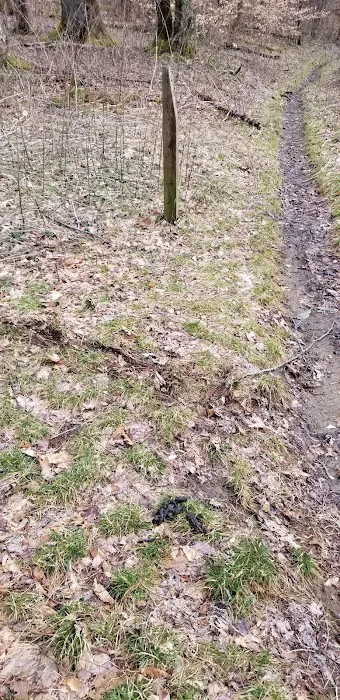 Backcountry Camp 26 Picture 5