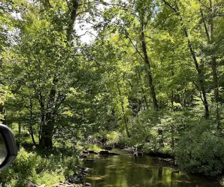 Big Oak Cove Campground