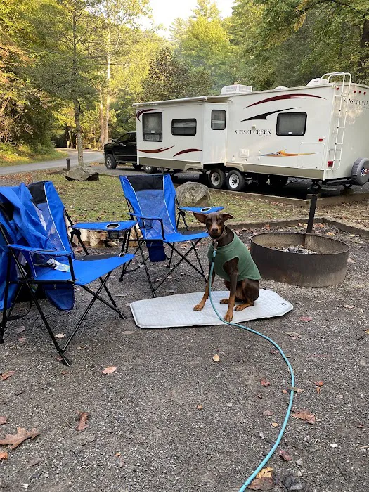 Holder Cove Campground Picture 3