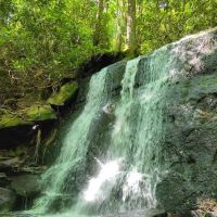 Holder Cove Campground ico