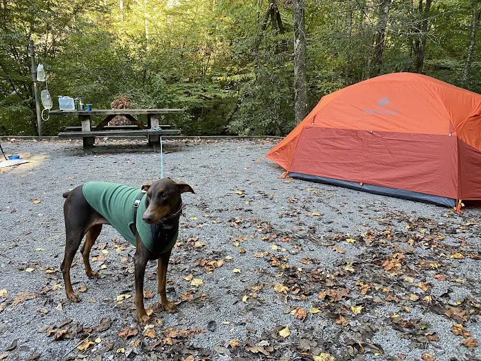 Holder Cove Campground Picture 7
