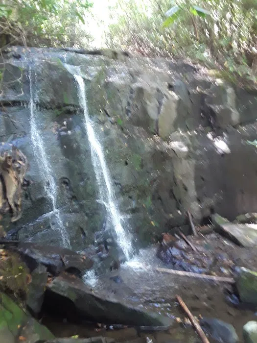 Holder Cove Campground Picture 10
