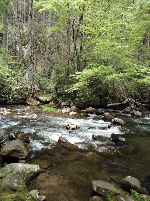 Davis Branch Campground Picture 3