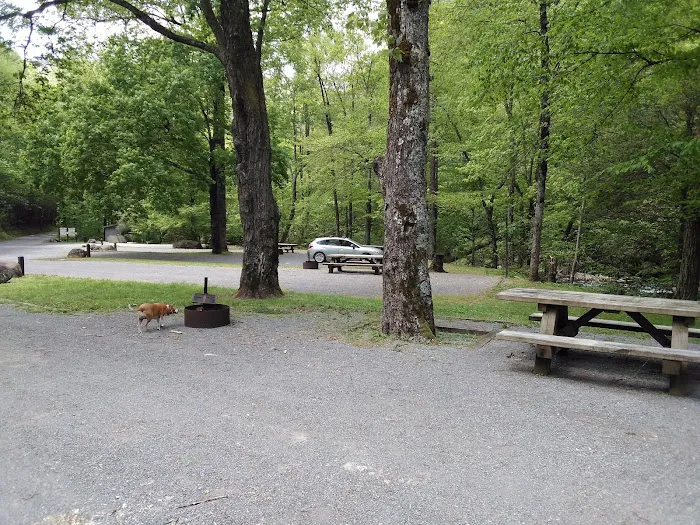 Davis Branch Campground Picture 6