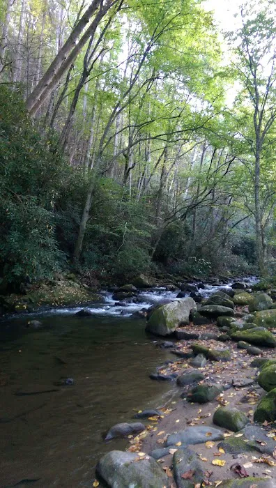 Davis Creek Campground Picture 4