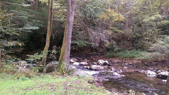 Davis Creek Campground Picture 6