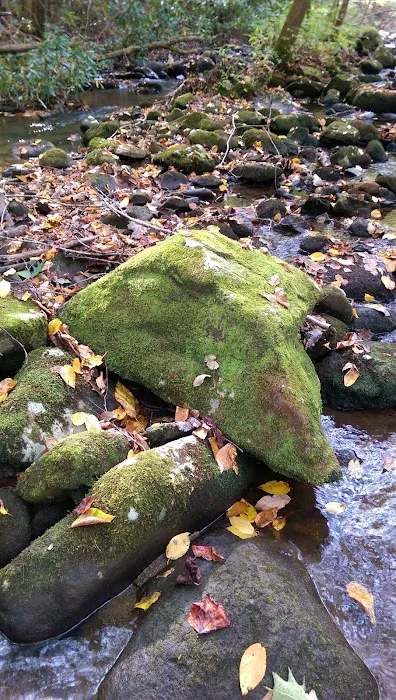 Davis Creek Campground Picture 5