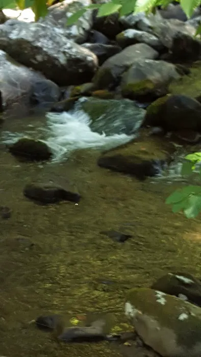 Davis Creek Campground Picture 9