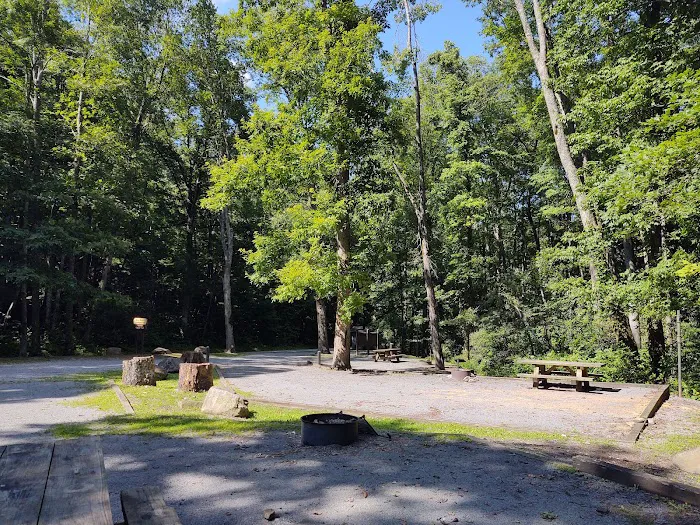 Birch Branch Campground Picture 2