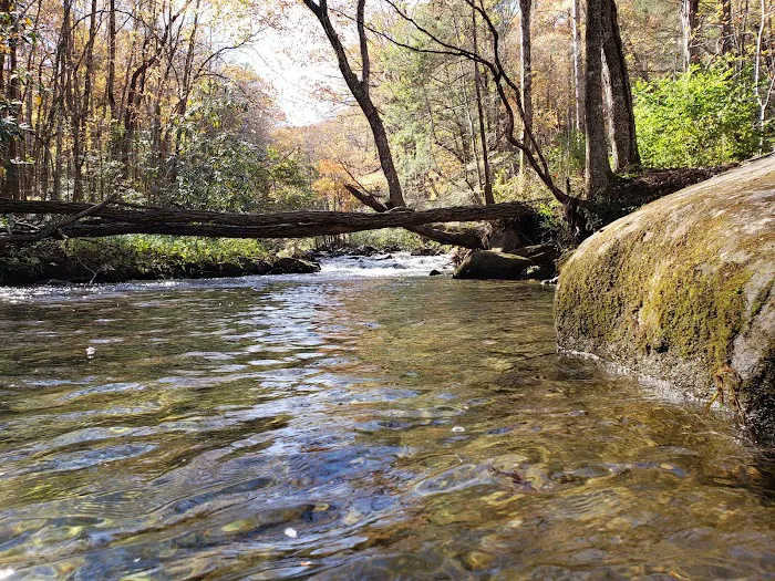 Birch Branch Campground Picture 3