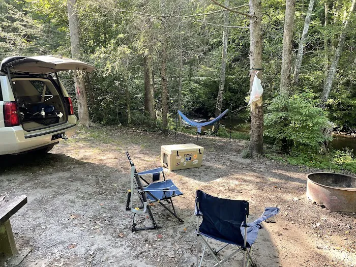 Holly Flats Campground Picture 5