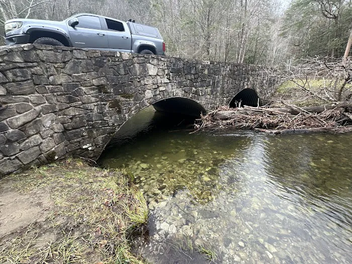 Holly Flats Campground Picture 6