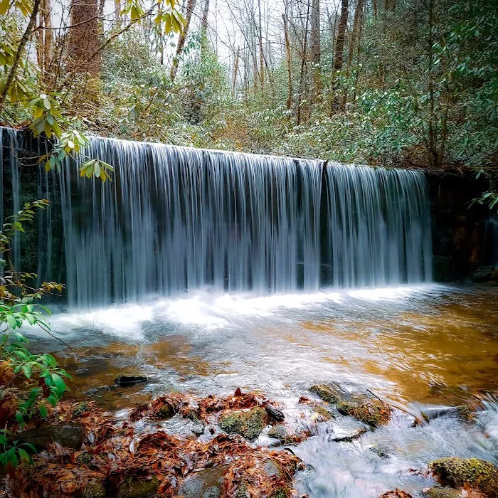 Holly Flats Campground Picture 8