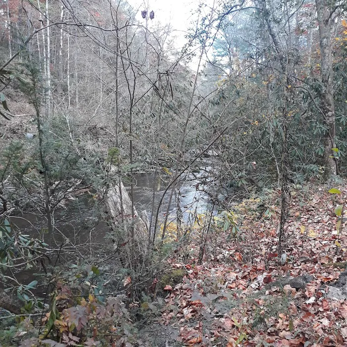 Holly Flats Campground Picture 9