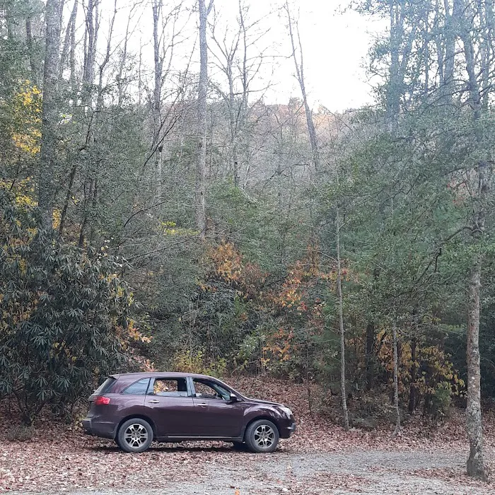 Holly Flats Campground Picture 10