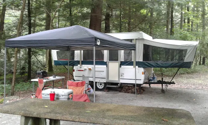 North River Campground Picture 1