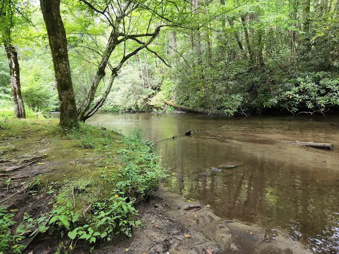 North River Campground Picture 2