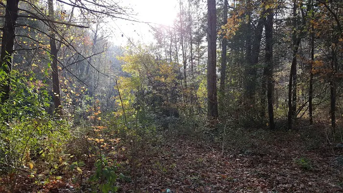 North River Campground Picture 6