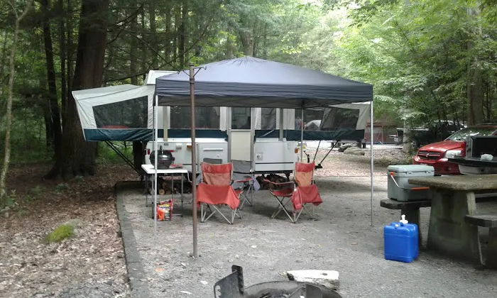 North River Campground Picture 4
