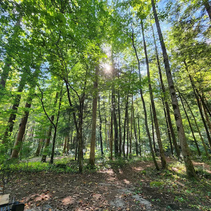 North River Campground Picture 9