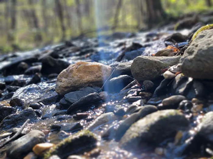 W Wolf Creek Campground Picture 1