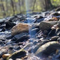 W Wolf Creek Campground ico