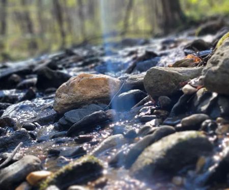 W Wolf Creek Campground