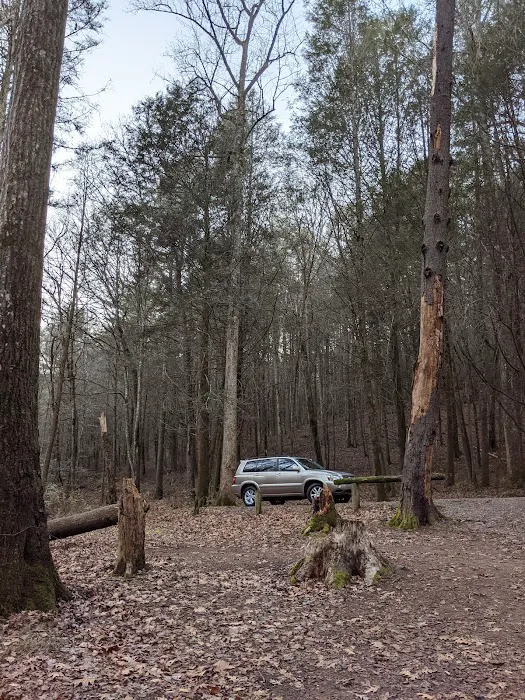 W Wolf Creek Campground Picture 5