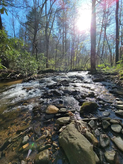 W Wolf Creek Campground Picture 6