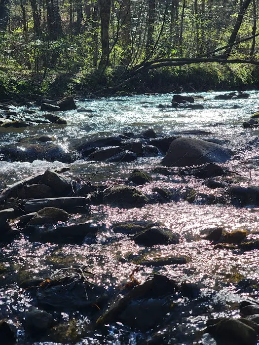 W Wolf Creek Campground Picture 7