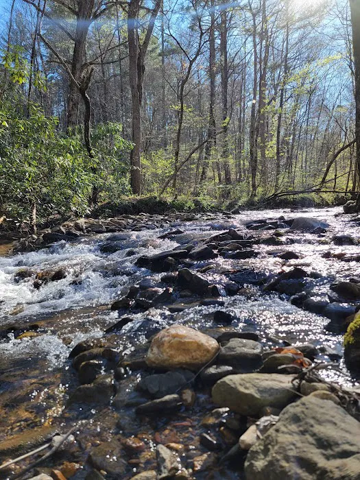 W Wolf Creek Campground Picture 9