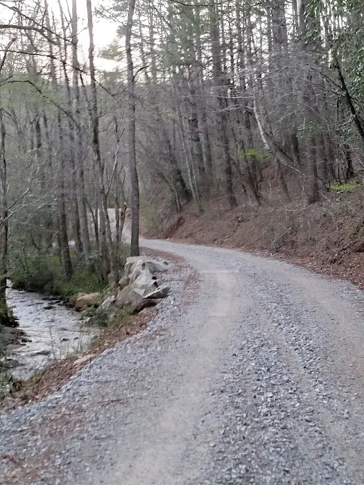 W Wolf Creek Campground Picture 10